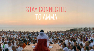 AMMA Live-Streams